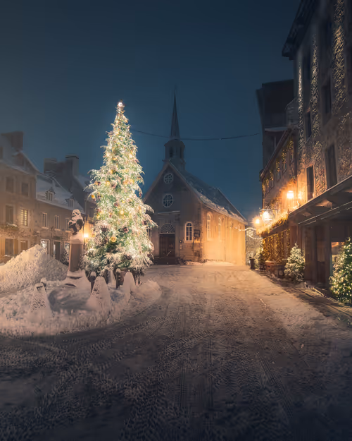 Item #18429628354057188698791897344843327250721148693952566125473226730954425368577 Media