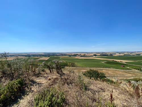 Item #82230664742410380029985225980173930657967222825059187272411913090751543640074 Media