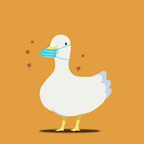 Item #105396933249060615352267483249655470977943482810935382026237917568950478045185 Media