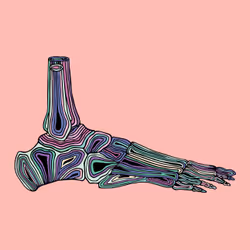 28824502245252267217549902857601847351510039266873569823091148433907783827457