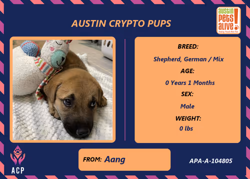 Item #17951378556605612276483806045649535824451571419947225201384628482064687038465 Media