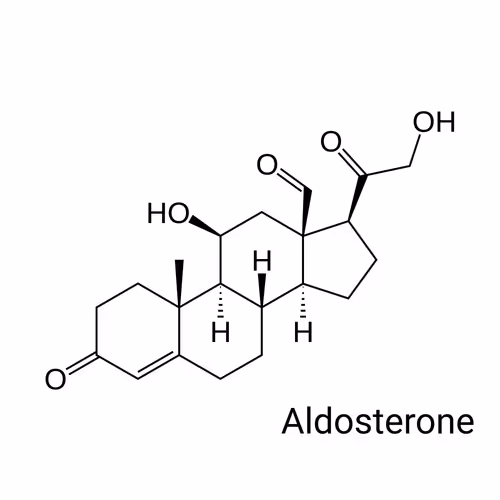 Item #64732396481221425237779336604136247156647002150051219445300180790856153825281 Media