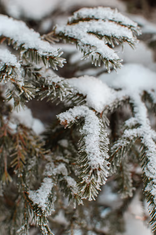 Item #89749655781633695214918973850275472722969414754438239918620403793031965179905 Media