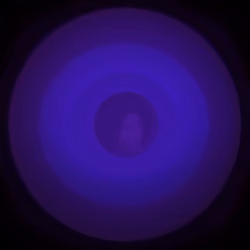 53082601298239767786941416282585446921564845667634258522986564929262333198337