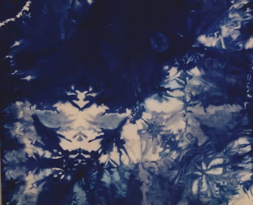 Item #104188272339356622327590887292958544295780476405951587730121661996468214431745 Media