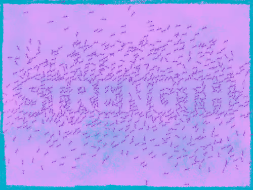 Item #14905628070922848497243539374949986756999099721774912703117802720208839770113 Media