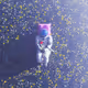 Phantasm Gifts