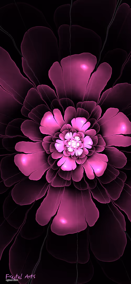 Item #32177667884503912165894813812378854339514359975732135241393141786037710749697 Media