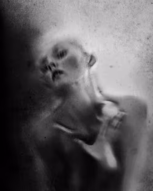 Item #53224625623064457234899396193453356484929368414059306237118540713062299598849 Media