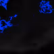 111629048511372061486048794596797670212083374152176562511192091151567501131777