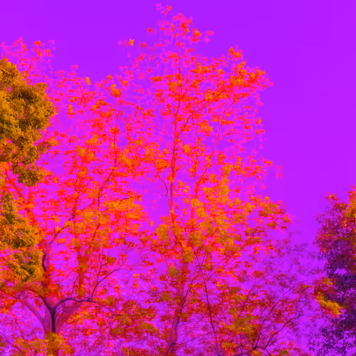 Item #35965218379738729691291467168286792303482134167127854404987491570192715087873 Media