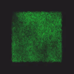 12032733712256437664215437925069129638151898554142308319368358930133775548417