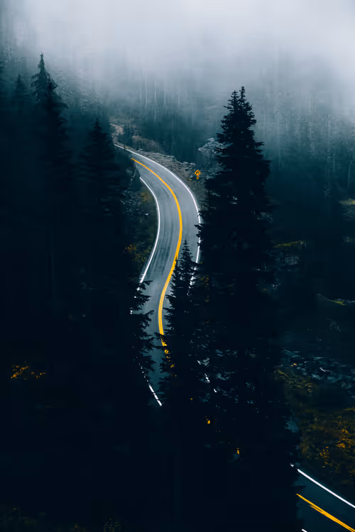 Item #63454844605715267947314910232292346032056647728766809663184741529677717307393 Media