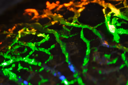 Item #21177589988234382907292029725280025606269119538694693414219510855296536805377 Media