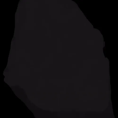 Blackrocknftv