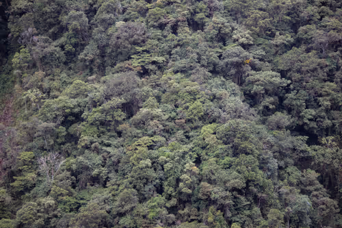 Item #28880303419297610602772678390030520638746358363032787219578149266618731986945 Media
