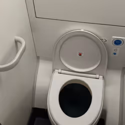 taking a dump in the sky