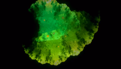 Item #67457553150443021914092587022250176347061355639032054621716075719973119459329 Media