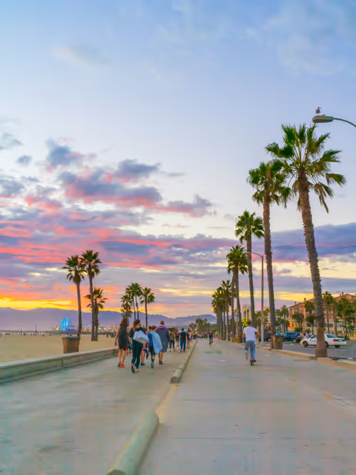 Item #62617397375757312297803897609954755559227699621957103885912270317591159898113 Media