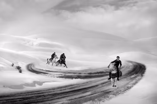 Item #73363223370355250909196244140857466626496998110185198638772903921328425271297 Media