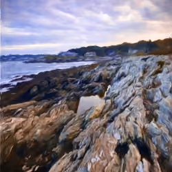The Rocky Coast