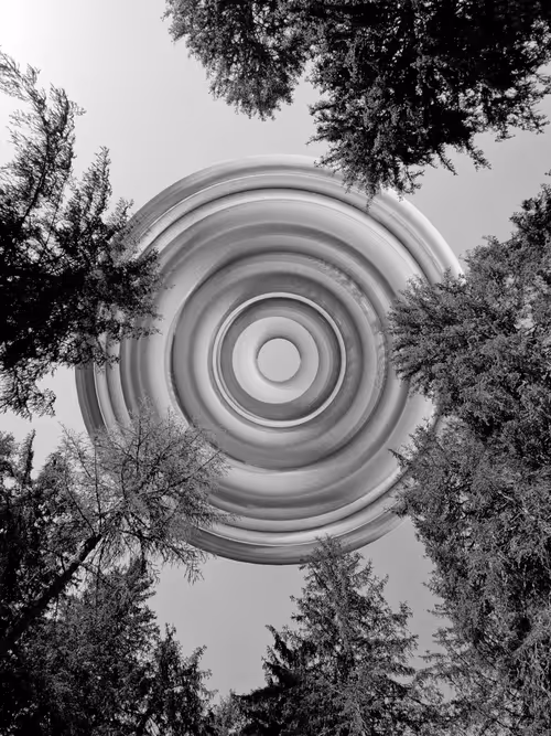 Item #70289046270216540615569387337235414738610929699744131839351085644871196737537 Media