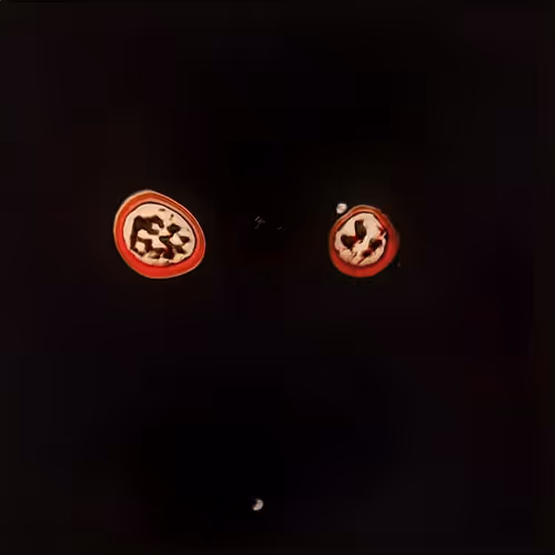 Item #110466434685535267528312366585544489607100704110403619358250249141072169009153 Media