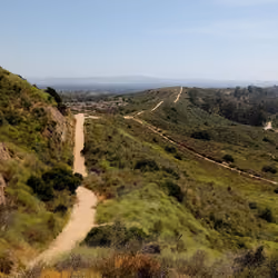Cali Trail