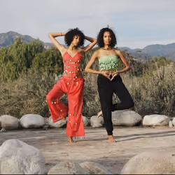 Shapes and Movements
