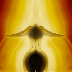 86322865835249178422551085128691778807953829915868126837986678294151102988289