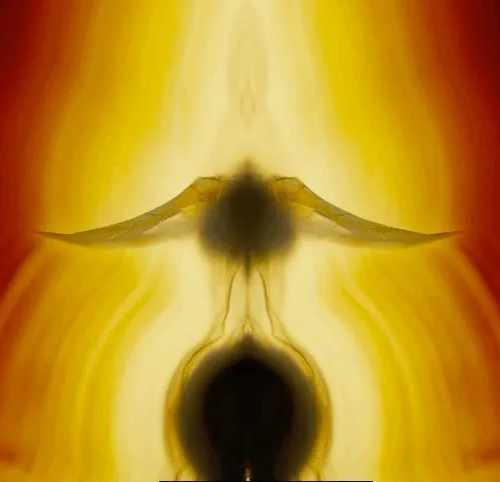 86322865835249178422551085128691778807953829915868126837986678294151102988289