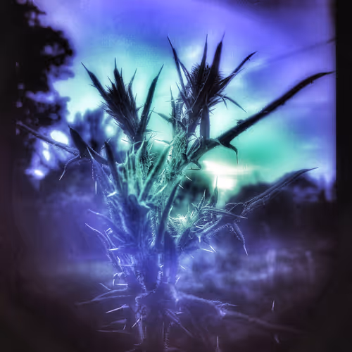 3787080761074609709675817509753112159059746763483256848434353602876384739333