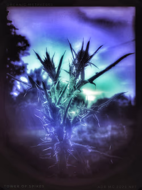 Item #3787080761074609709675817509753112159059746763483256848434353602876384739333 Media