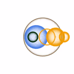 70353057672015735818645322495962653854503002062545499345613794250971536162817