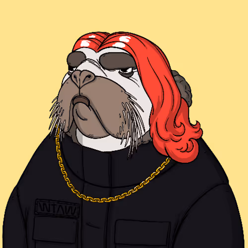 Item #31488829239088319770893970379597079445996421138457549897503302981304409128961 Media