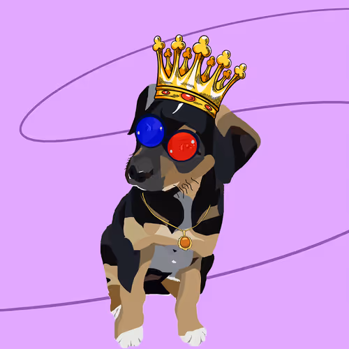 Lost Dawg