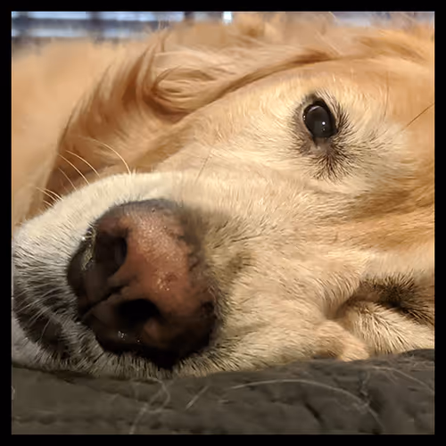 Item #106495276592435919470568425369488009874844936823784433162656833187460082040833 Media