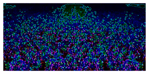 Item #106001697957459628944035858812615841131152267018124591859420366051961491947521 Media