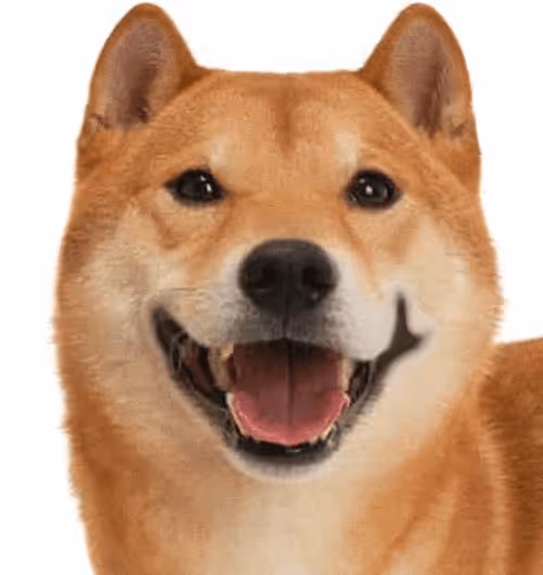 Item #34470142884482375674331152583341387110725961593908059002011227370727525056612 Media