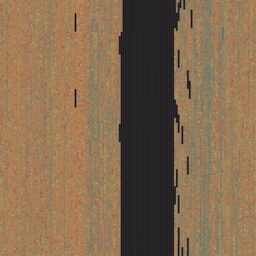 Human Chromosome 1