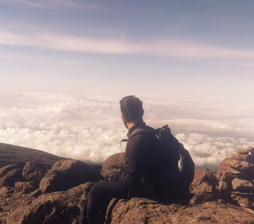 Item #113915635363529418532820506639039462677143782385450590851576059196628860403713 Media