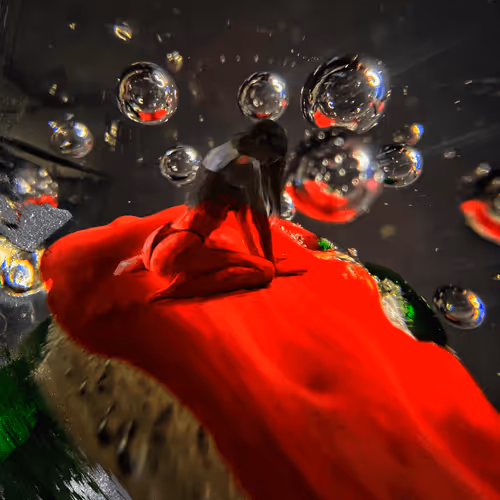 La Rosa-My macro photography + painting