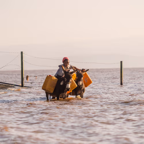 Solar Coffee Project #76 - Collecting Water From The Lake