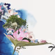 Avire Dreamscapes