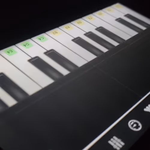 Untitled Collection #11118974