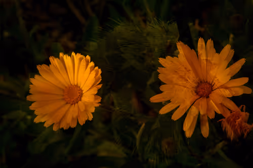 Item #1448819722811812157553440872911488319417736624981688873626406821066532978689 Media