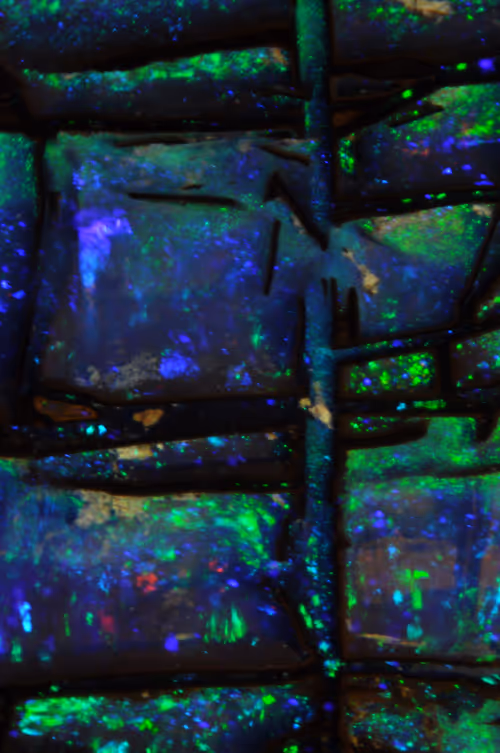 Item #21177589988234382907292029725280025606269119538694693414219510832206792622081 Media