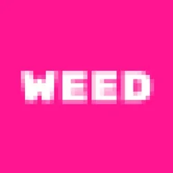 Shy WEED