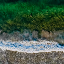 Your Missed Wave