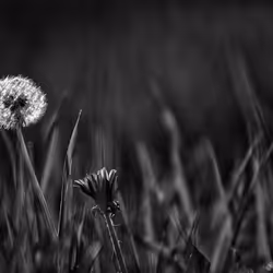 44024487065254451978341284796523308956461514990321328857199441186006740500481